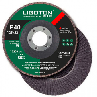 Лепестковый круг LIGOTON PROFESSIONAL PLUS 125*22 Р60 Лепестковый круг LIGOTON PROFESSIONAL PLUS 125*22 Р60